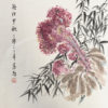 Celosia Flower